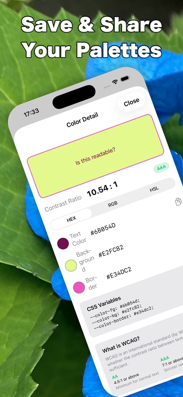 Color detail screen showing HEX, RGB values and CSS variables