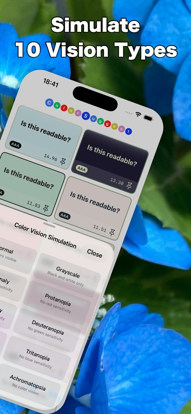 Color vision simulation options